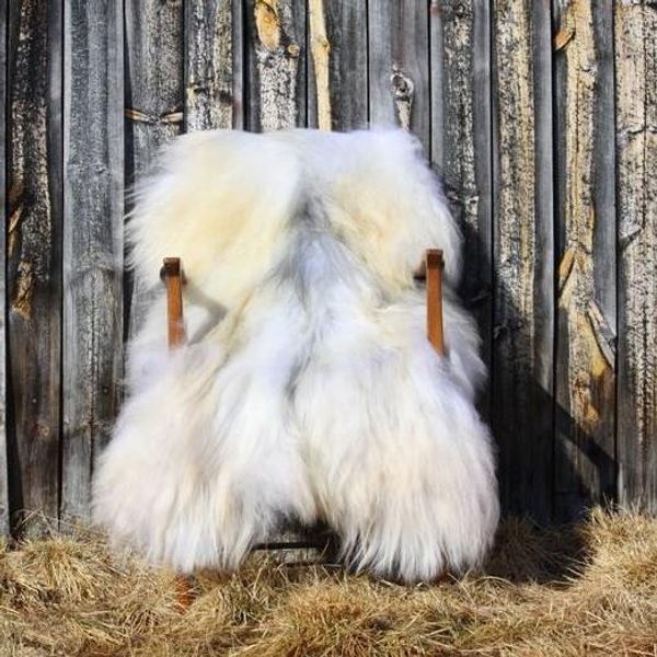 Hovedbilde Saueskinn fra Myrvangen gård