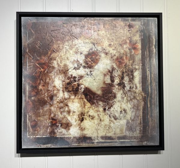 Hovedbilde Elisabeth Werp - 9 - Drømmen